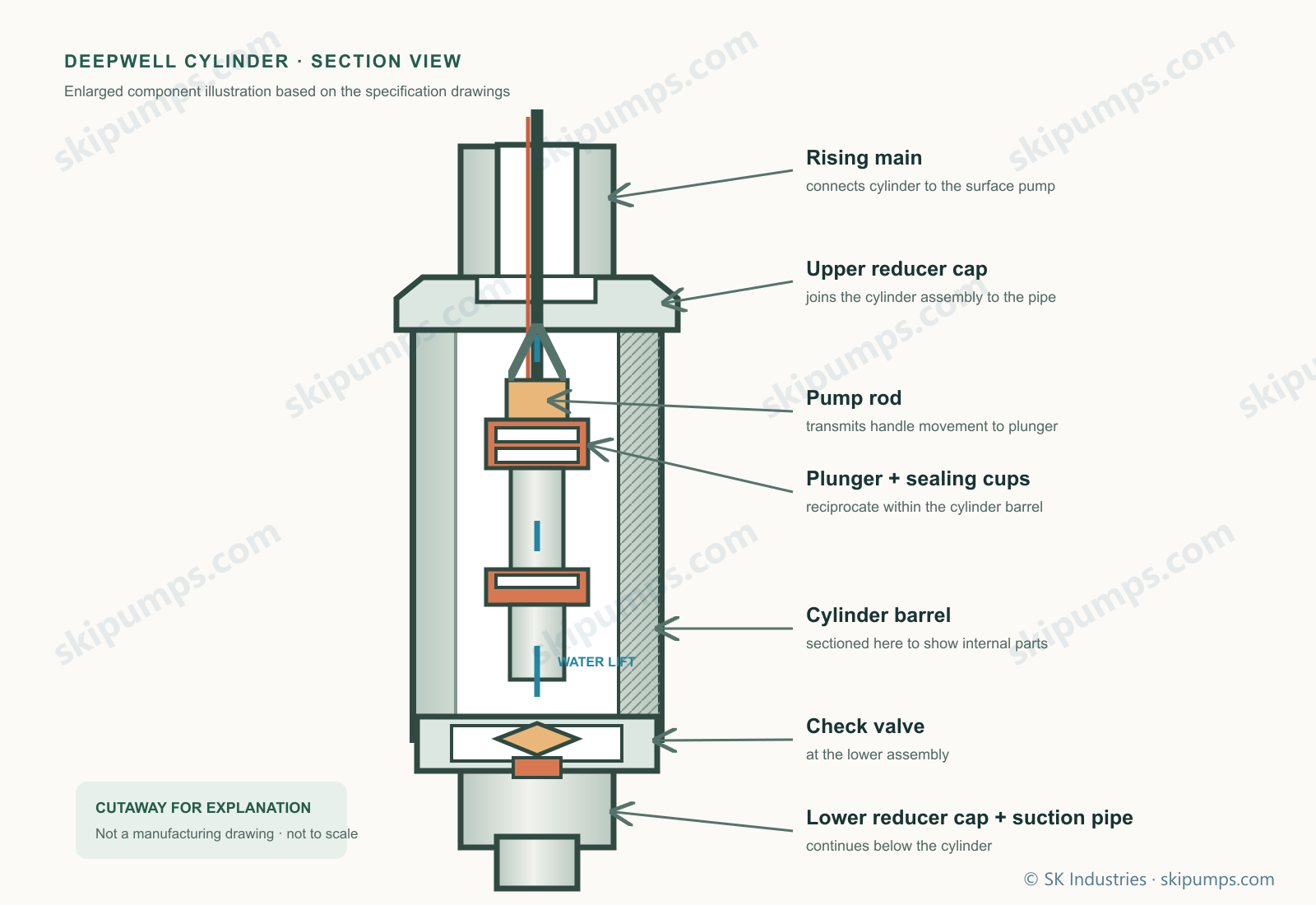 Cutaway illustration of the Extra Deepwell hand-pump cylinder, plunger and check valve.